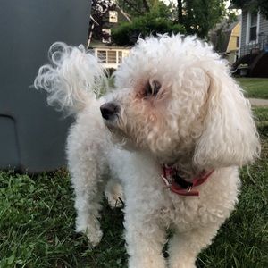 Meet your Posher, Krystal